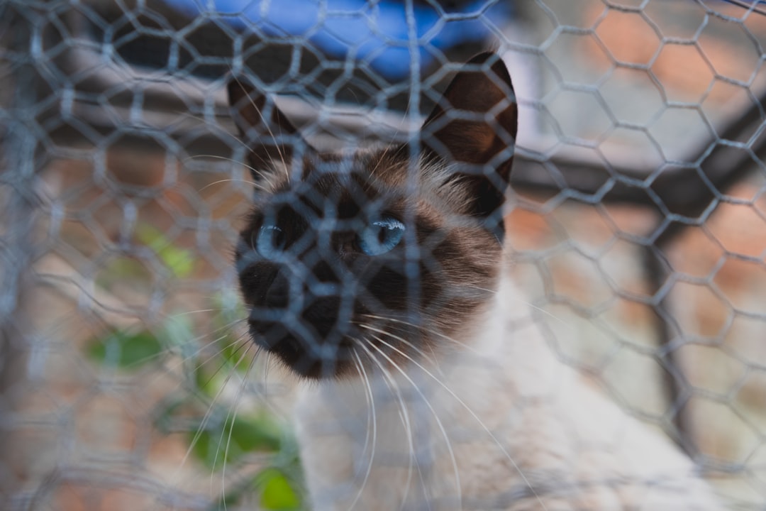 Kopi Luwak: The Exotic Coffee Made from Poop